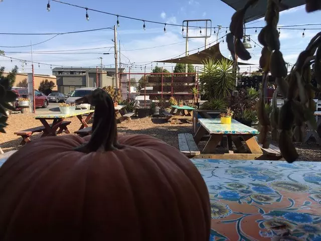 All Good Pizza
