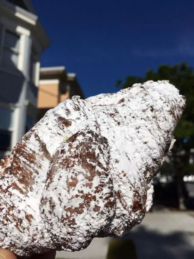 Arsicault Bakery