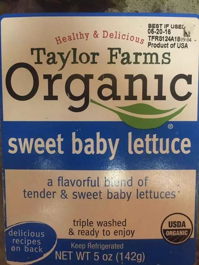 Real Food Company