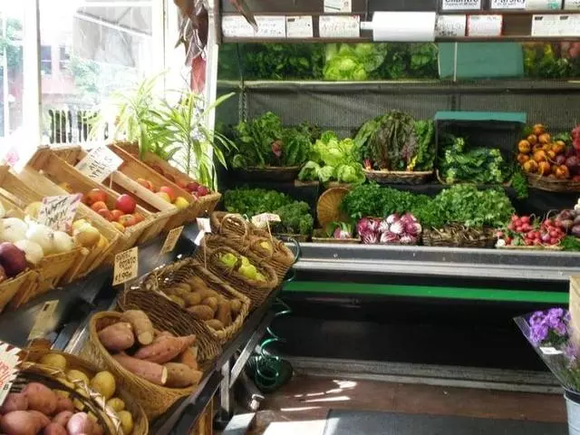 Real Food Company