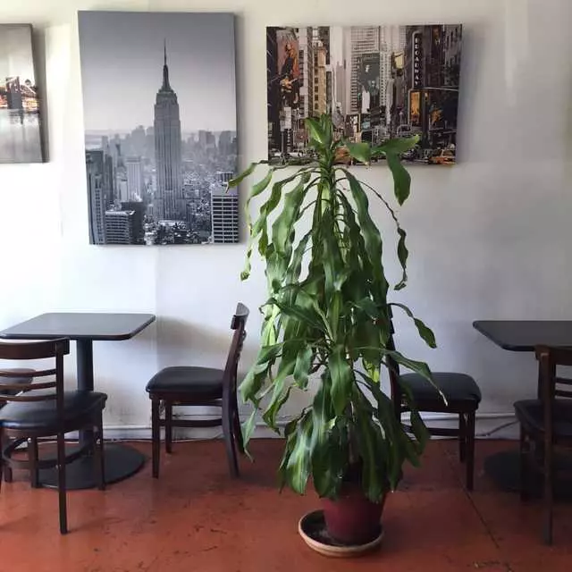 Cafe La Flore Irving