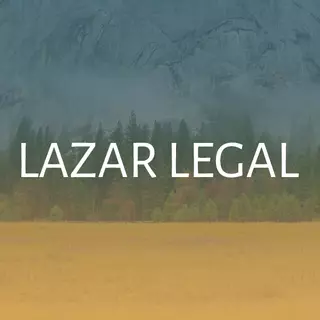 The Law Offices of Lon D Lazar