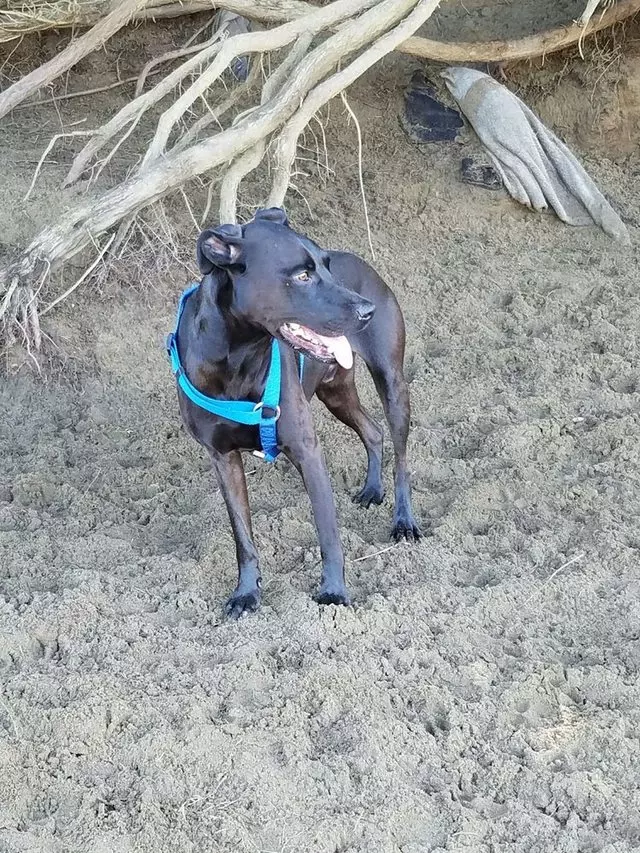A Walk In the Park