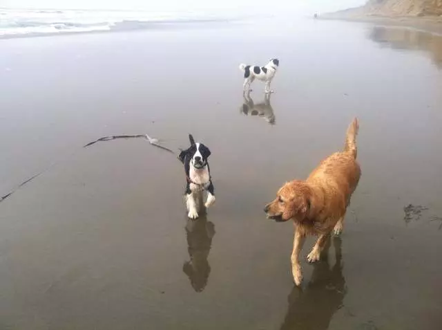 A Walk In the Park