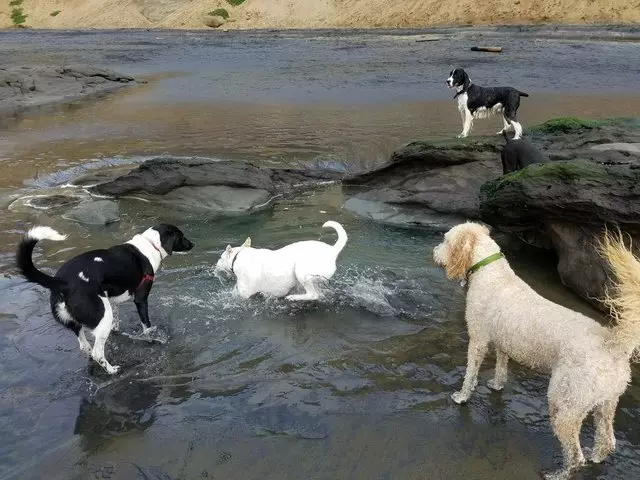 A Walk In the Park
