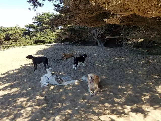 A Walk In the Park