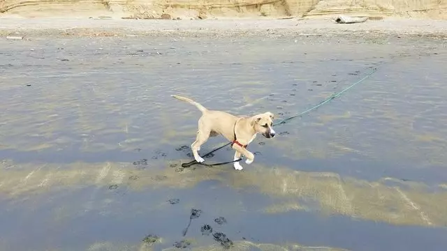 A Walk In the Park