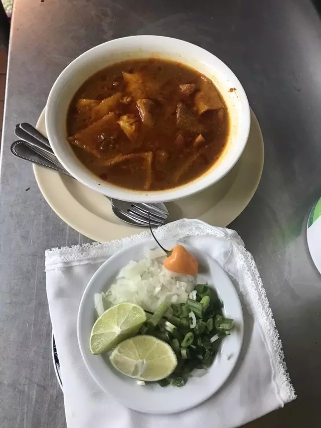 Yucatasia