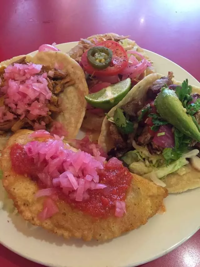 Yucatasia