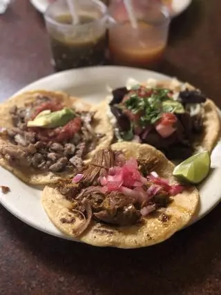 Yucatasia
