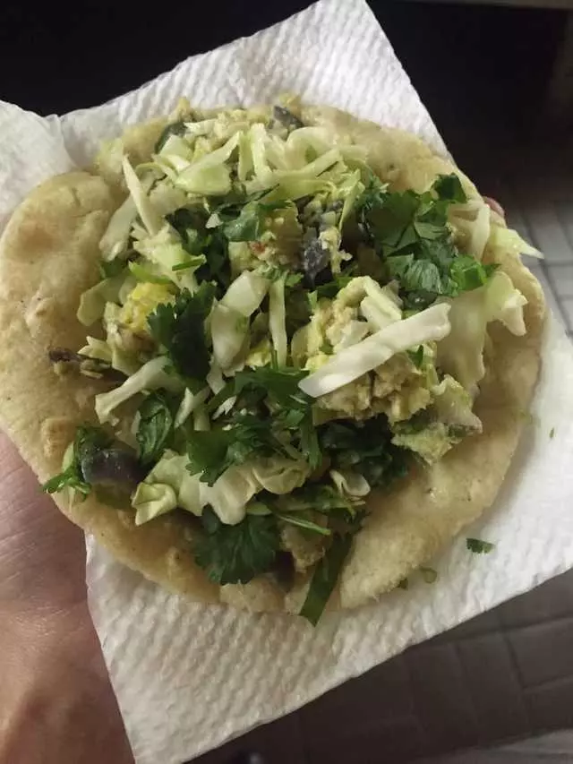Yucatasia