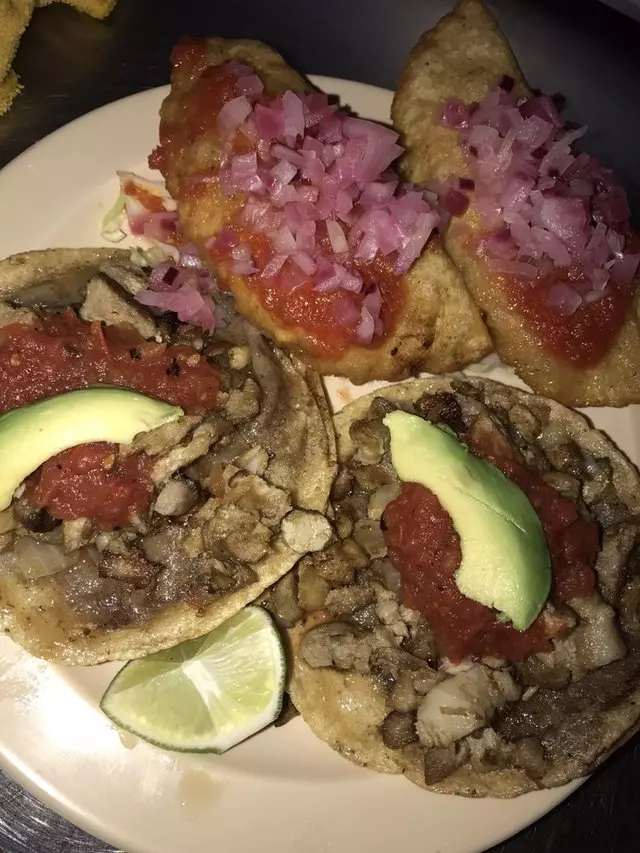 Yucatasia