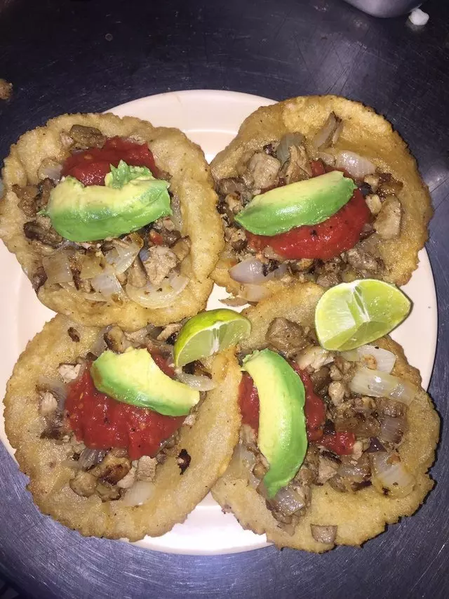 Yucatasia