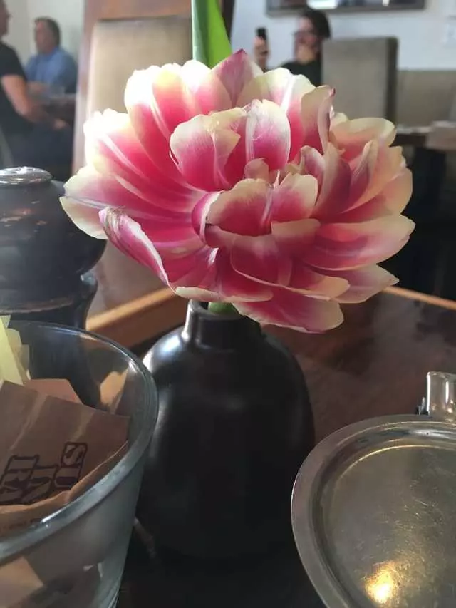 Mission Beach Cafe