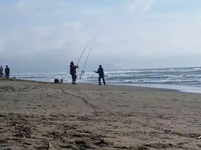Java Beach