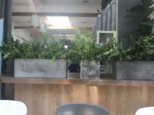 Souvla