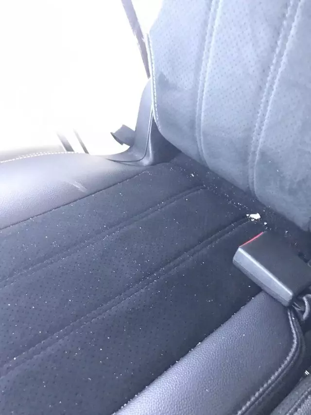 Alamo