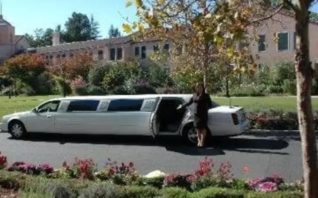 Angelica Limousines