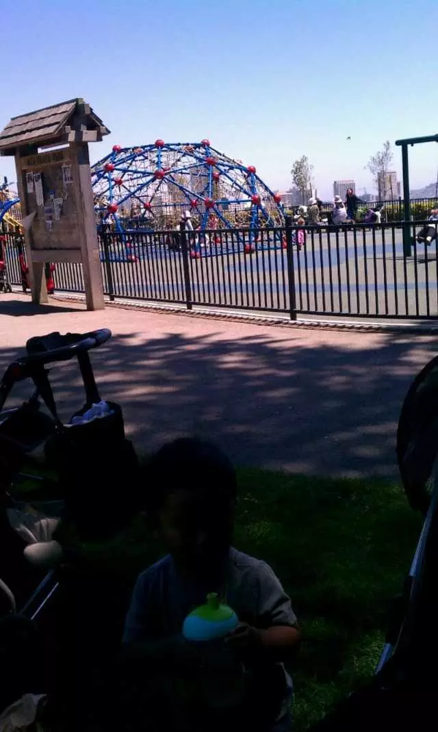 Alta Plaza Playground