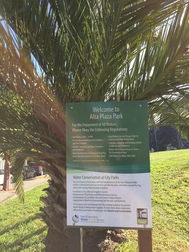 Alta Plaza Playground