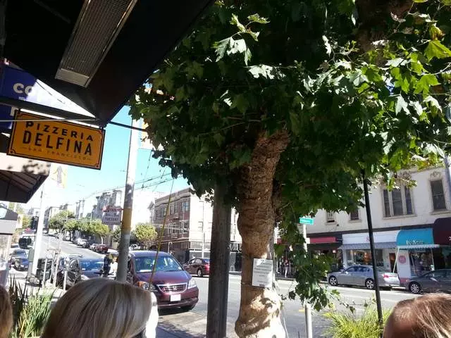 Pizzeria Delfina