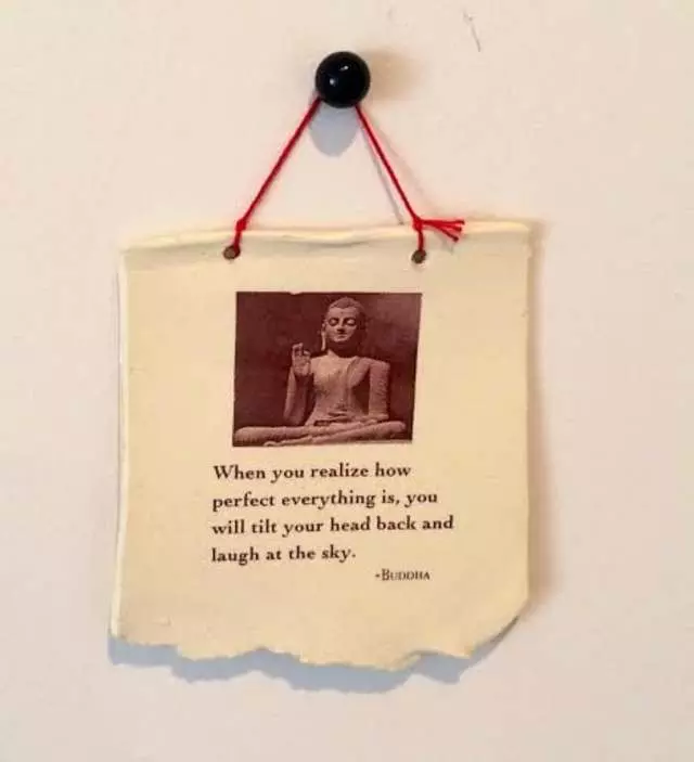 Nicole Maarja, Positive Psychology- Based Coaching