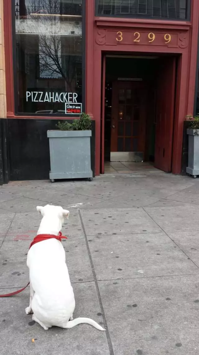 Pizzahacker