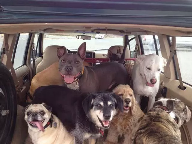 Active Pack