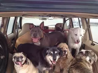 Active Pack
