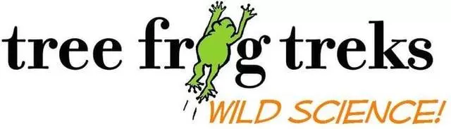 Tree Frog Treks