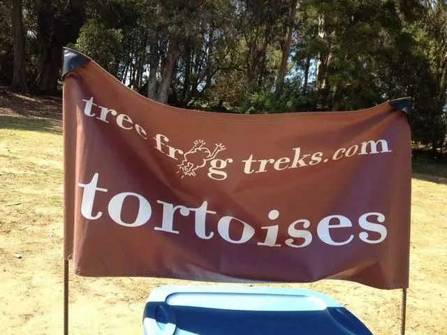 Tree Frog Treks