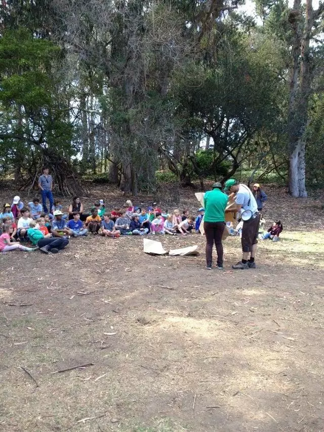 Tree Frog Treks