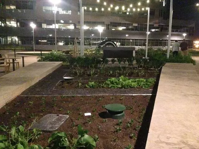 Stem Kitchen & Garden