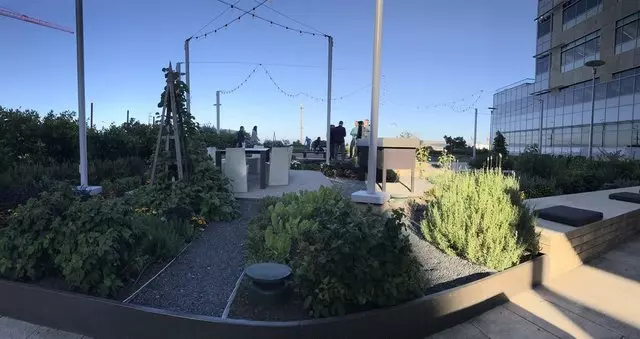 Stem Kitchen & Garden