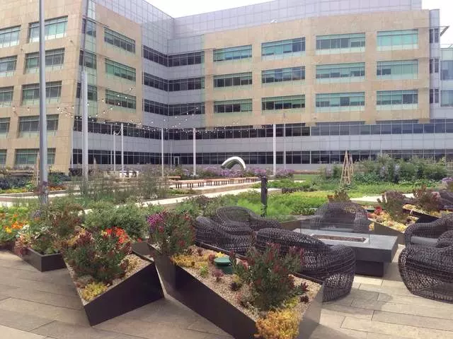 Stem Kitchen & Garden