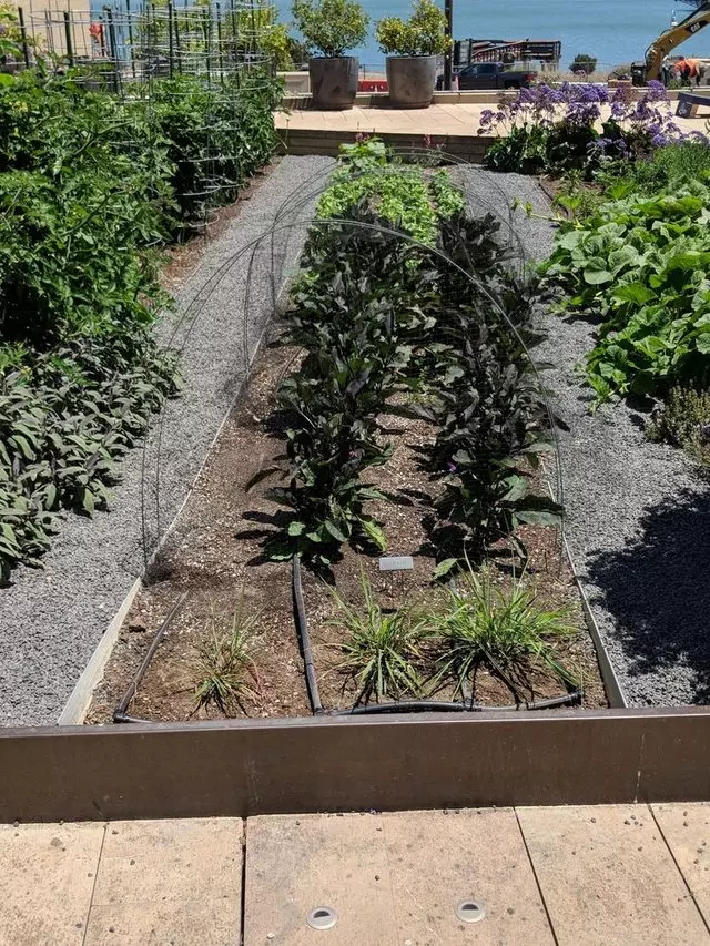Stem Kitchen & Garden