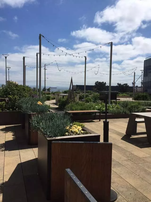 Stem Kitchen & Garden