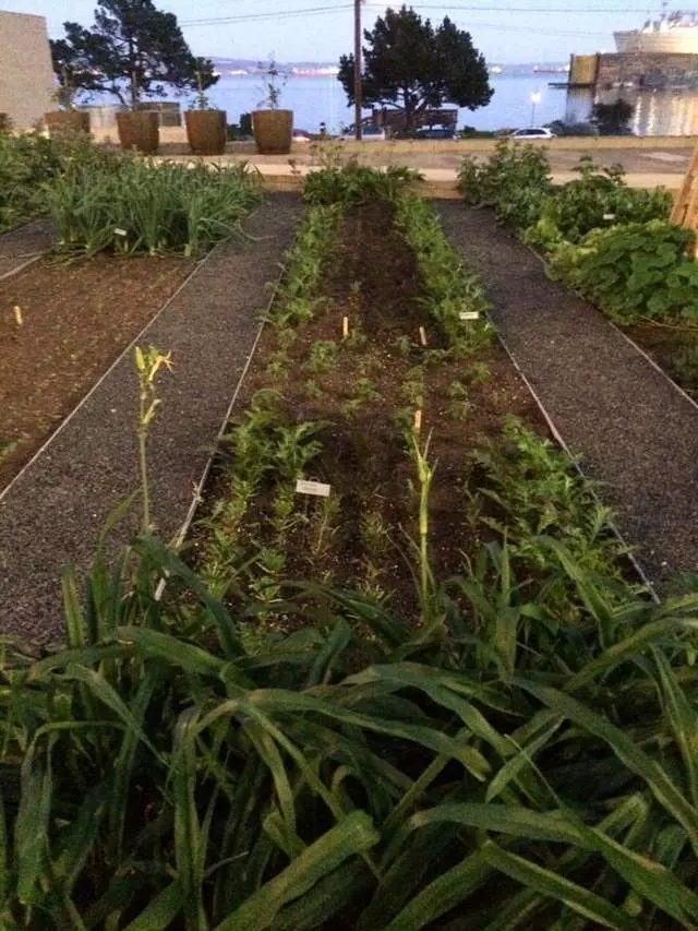 Stem Kitchen & Garden
