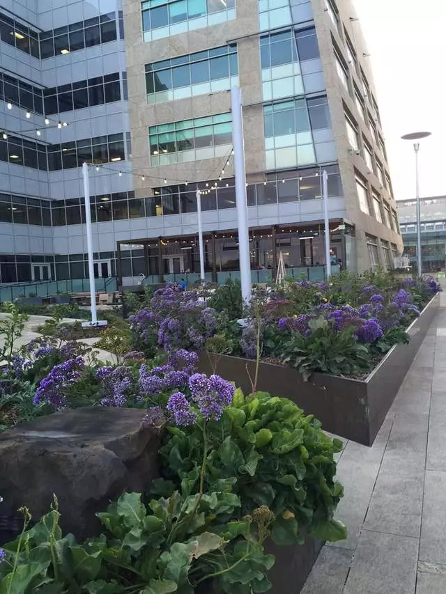 Stem Kitchen & Garden