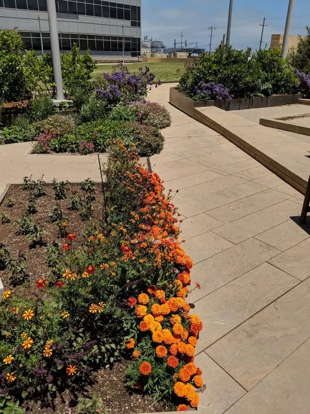 Stem Kitchen & Garden