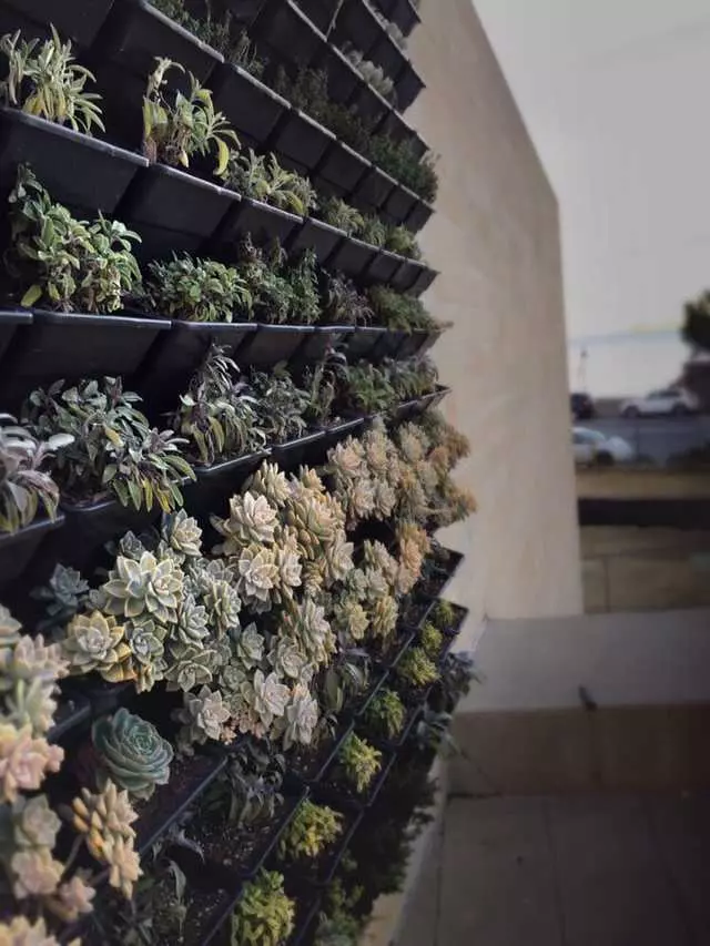 Stem Kitchen & Garden