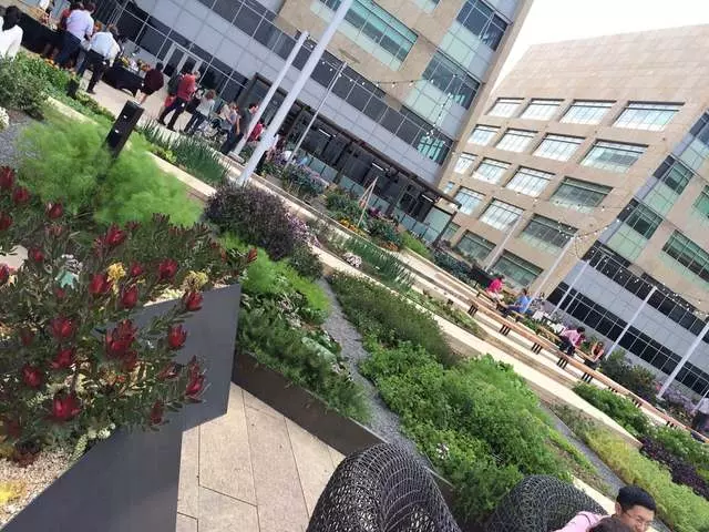 Stem Kitchen & Garden
