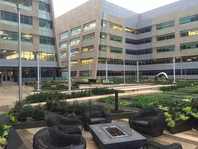 Stem Kitchen & Garden