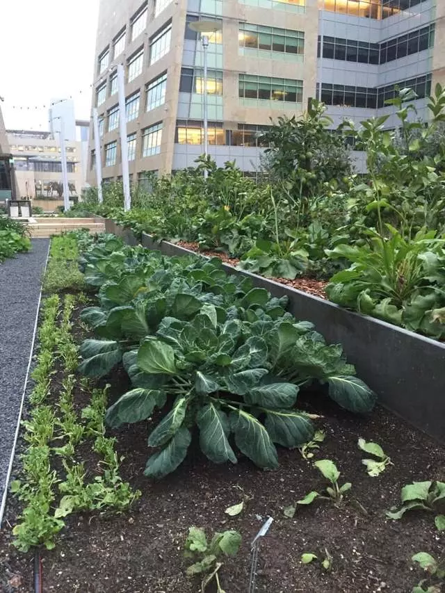 Stem Kitchen & Garden