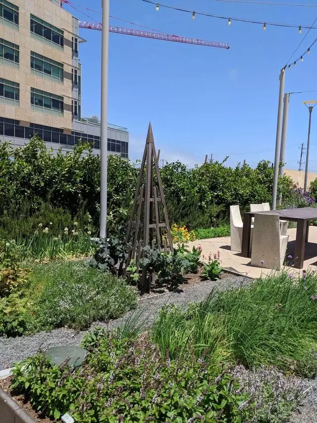 Stem Kitchen & Garden