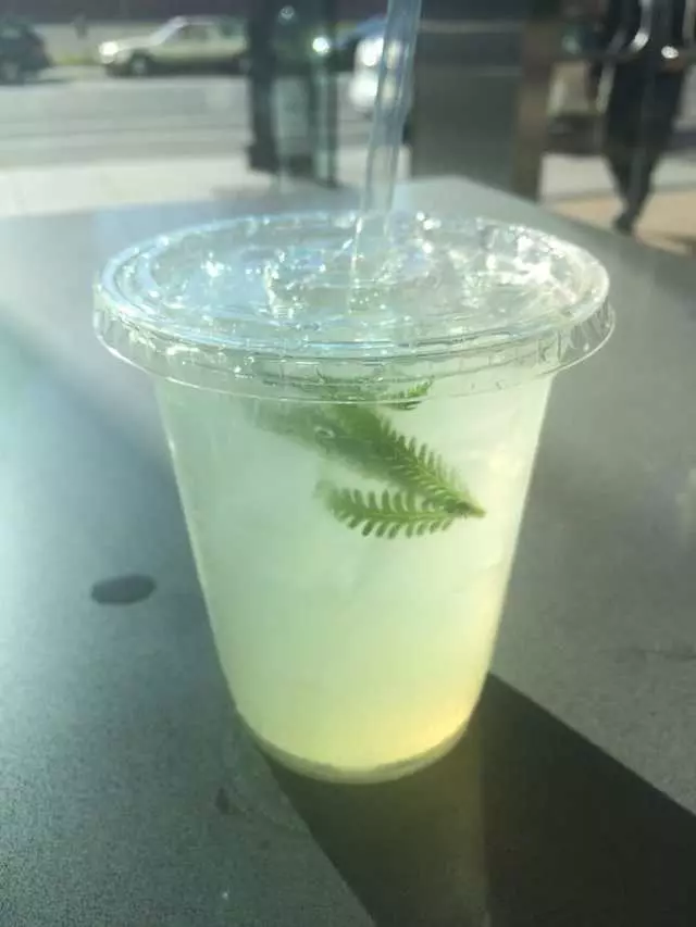 Stem Kitchen & Garden