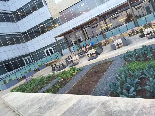 Stem Kitchen & Garden