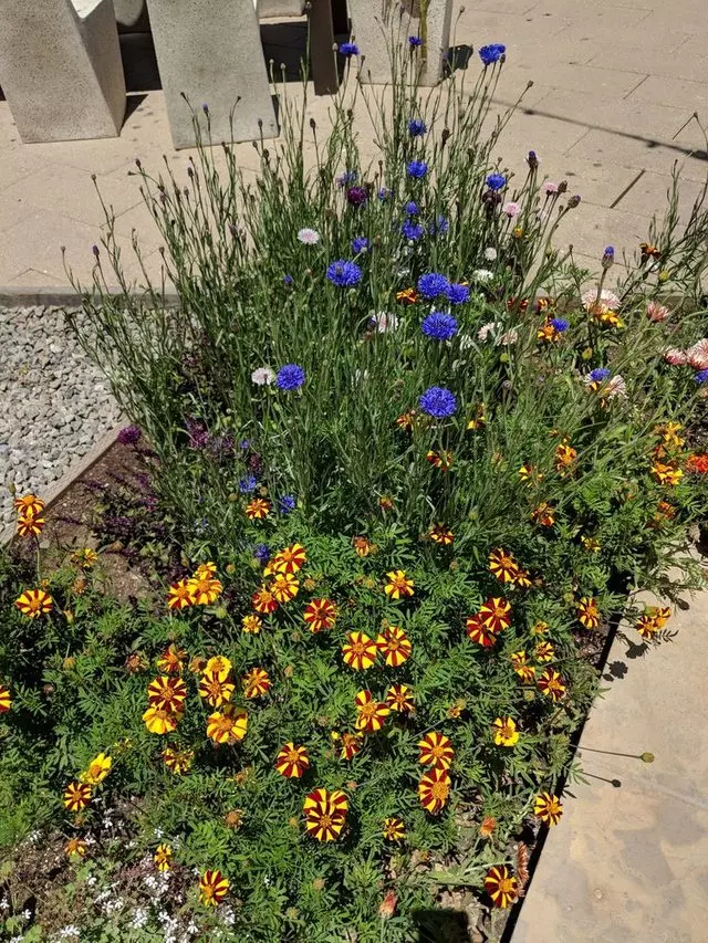 Stem Kitchen & Garden