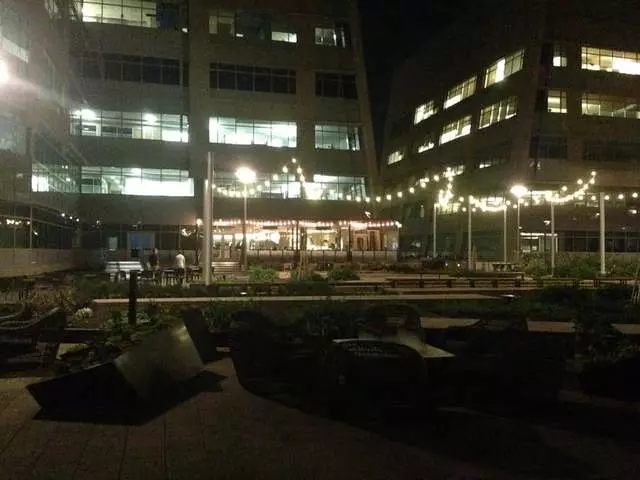 Stem Kitchen & Garden