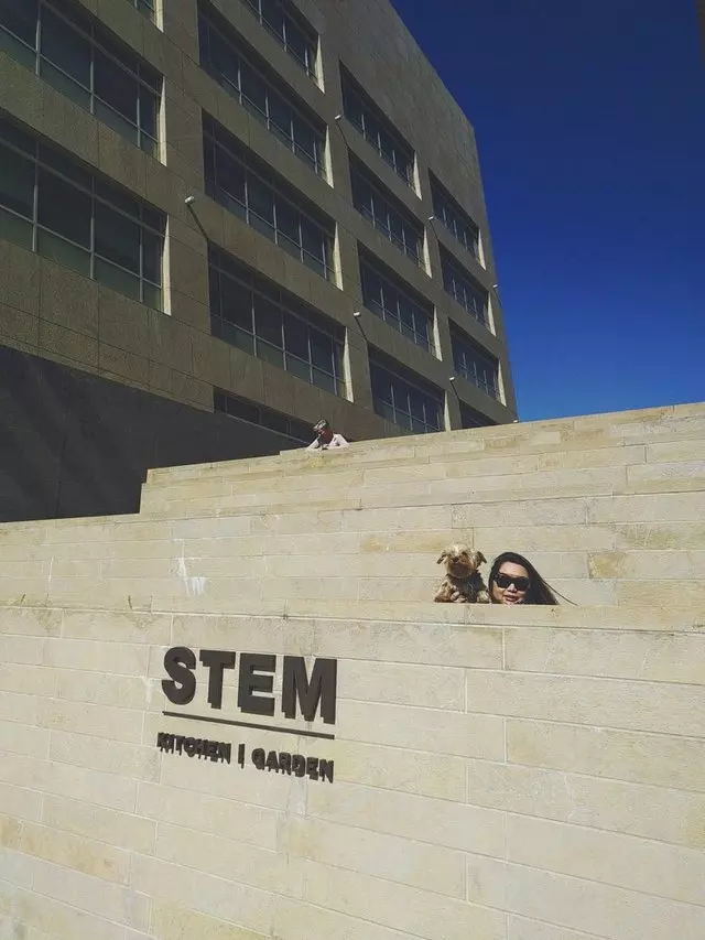 Stem Kitchen & Garden